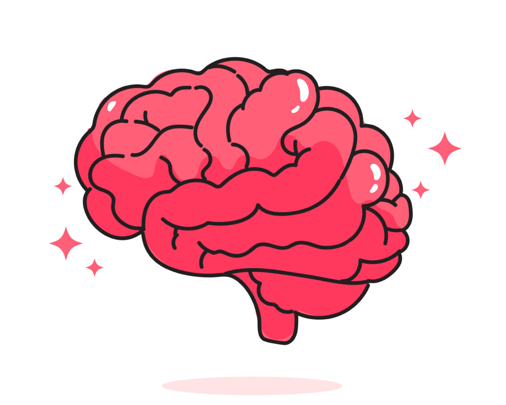 Brain_human_anatomy_biology_organ_body_system_health_care_and_medical_hand_drawn_cartoon_art_illustration-1024x819 Cérebro Humano: Curiosidades e Avanços Científicos Sobre a Mente