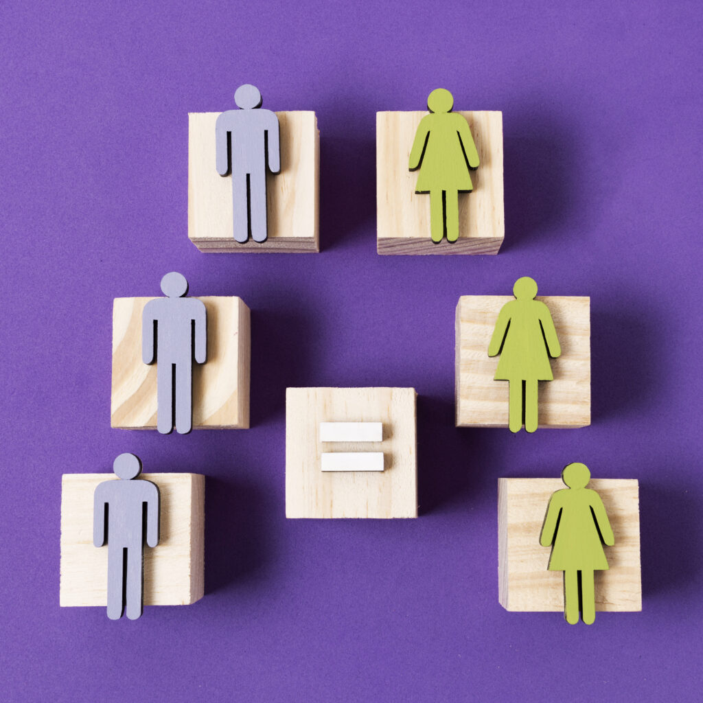 wooden-cubes-with-green-women-blue-men-figurines-equal-sign-1024x1024 Teoria do Esquema de Gênero e Papéis na Cultura: Compreendendo a Influência Social