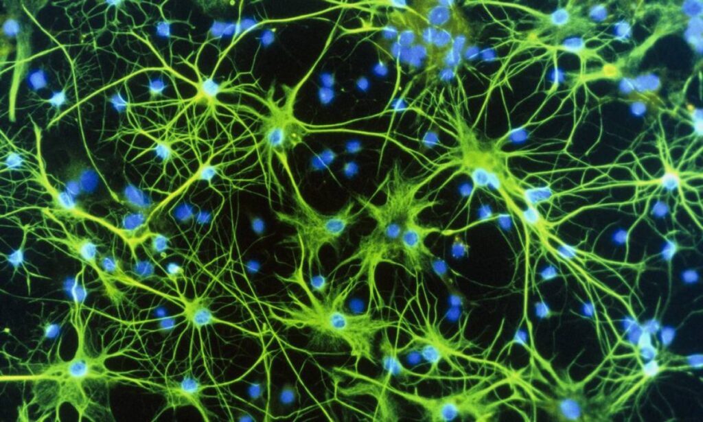 2014-681942104-2014-681861033-2014012132468.jpg_20140121.jpg_20140122-1024x615 Memórias Traumáticas: Como o Cérebro Armazena e Revive o Trauma