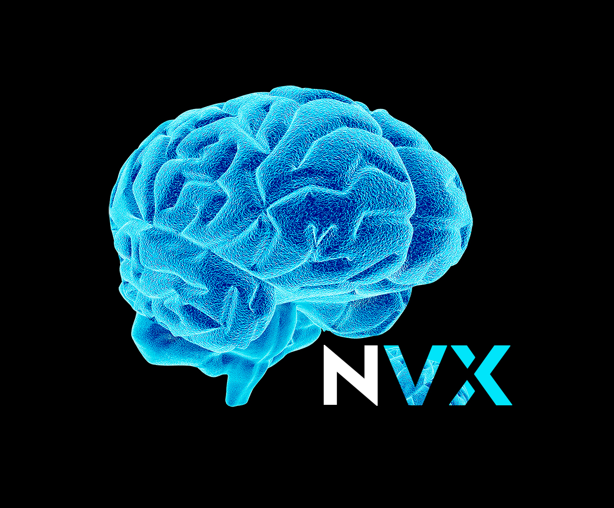 Neurovox Funciona Mesmo Benef cios Cognitivos Composi o E O Que Diz 