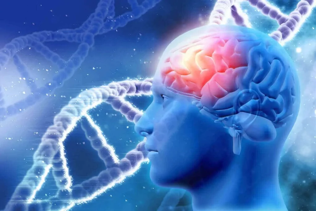 Trauma-cranioencefalico-1024x683 Neuropsicologia do Trauma: Como Eventos Traumáticos Afetam Cognição, Emoções e os Avanços no Tratamento