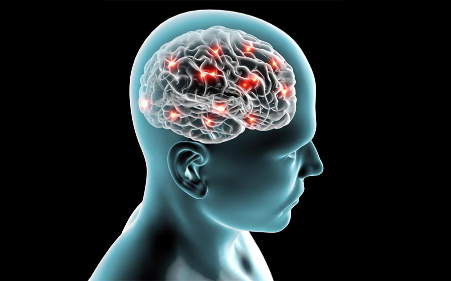 neuropsicologia Transtornos Neuropsicológicos na Infância: Como Identificar Sinais Precoces e Atuar com Intervenções Eficazes