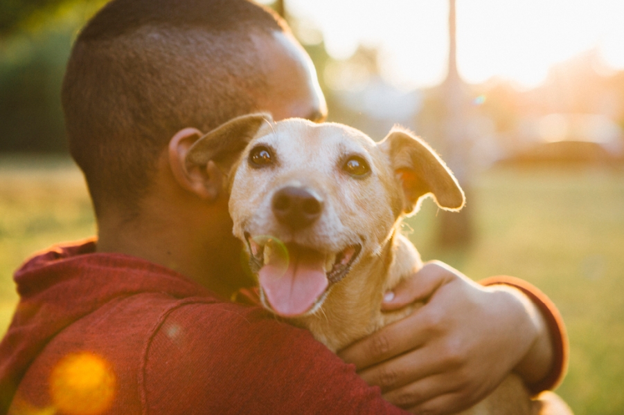 quanto-mais-eu-conheco-as-pessoas-mais-eu-gosto-do-meu-cachorro-1 Você Não Está Sozinho: Por Que Está Cada Vez Mais Difícil Fazer Amigos no Mundo Atual
