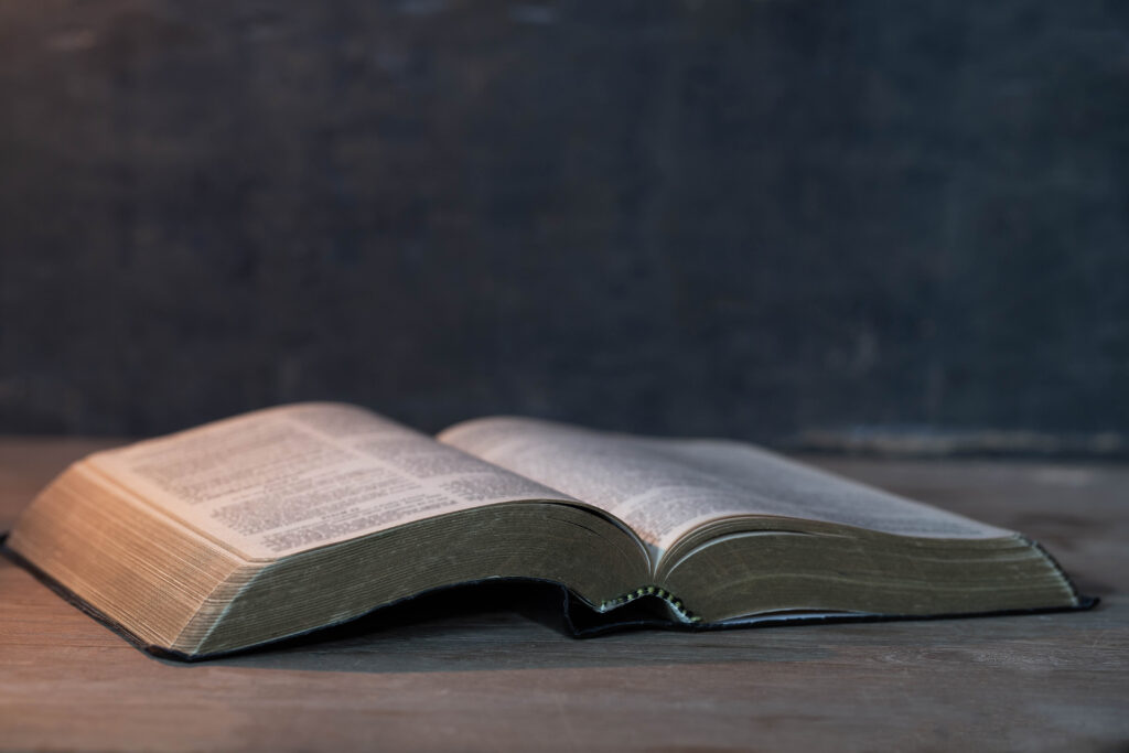 bible-wood-1024x683 O que a Bíblia Diz Sobre Doenças Mentais: Uma Visão Teológica e Humanizada